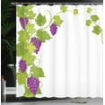 thumbnail image 4 of Ambesonne Vintage Shower Curtain, Italian Latin, 69"Wx84"L, Violet Green, 4 of 5