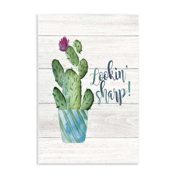 Stupell Industries Southwestern Looking Sharp Cactus Succulent Watercolor Wall Plaque Art, 13 x 19, by Jo Moulton