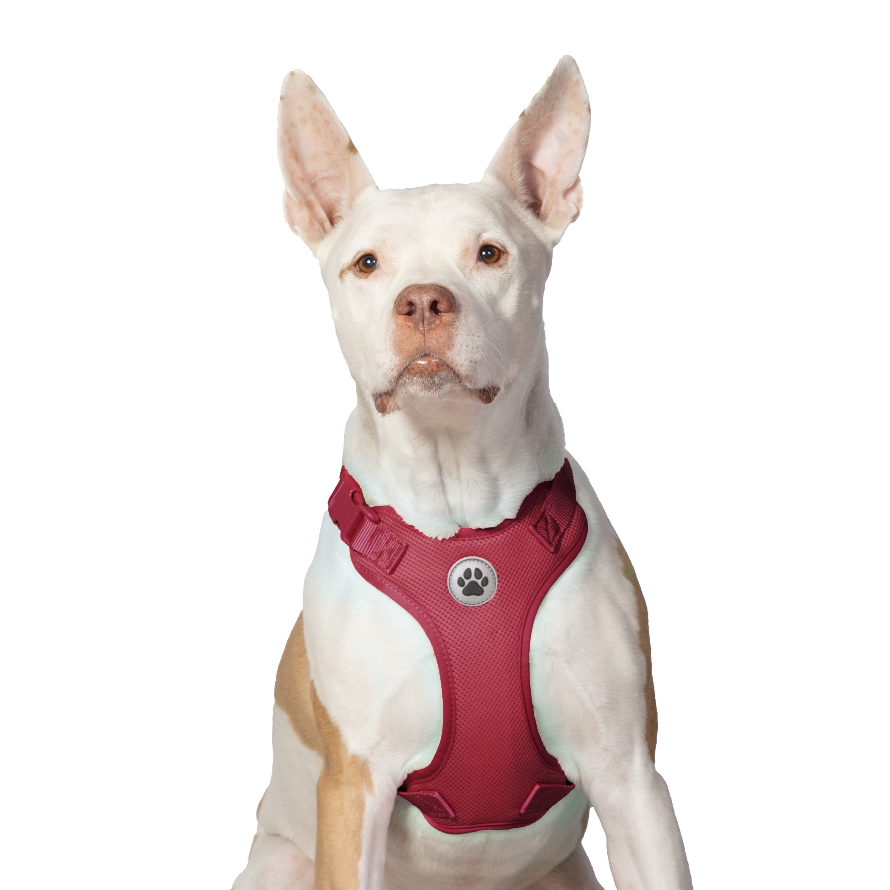 Vibrant Life Polyester Mesh Adjustable and Reflective Dog Walking Harness, Red, L