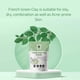 thumbnail image 2 of Hebhac Herbs Polvo de arcilla verde francesa 114G | Mascarilla facial Piel grasa Limpiador facial profundo Suavizamiento de la piel Arcilla corporal | Mascarilla Desintoxicante Natural (114G 4Oz), 2 of 5