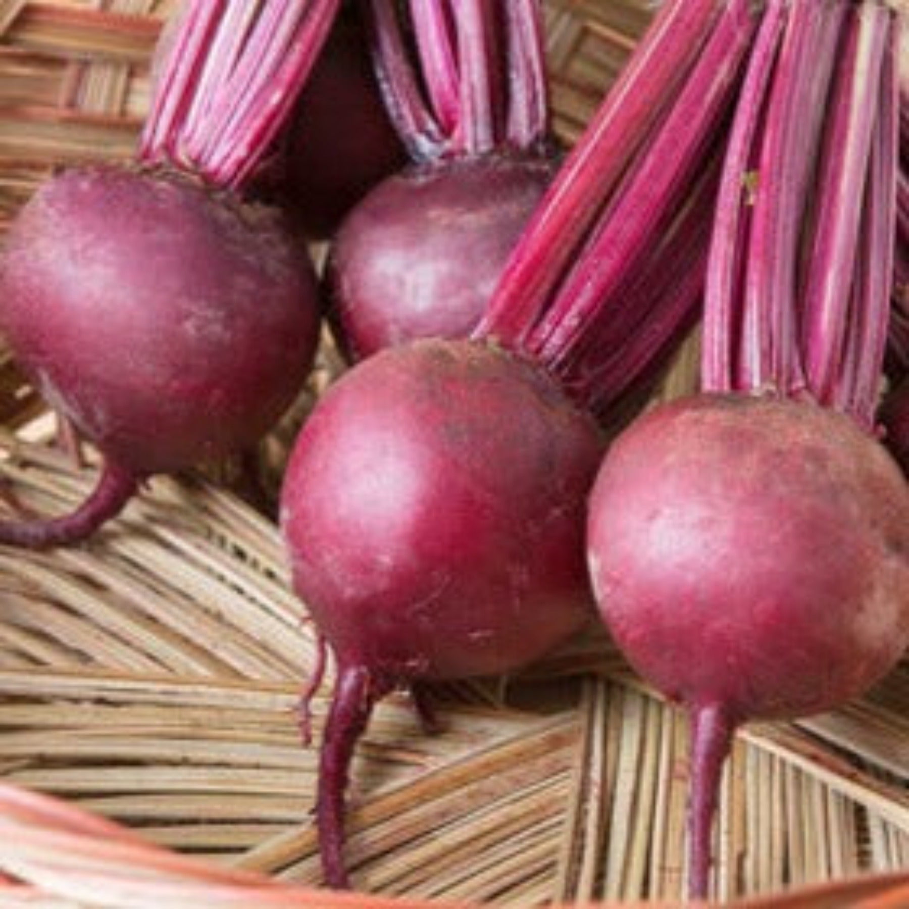 PAPAW'S GARDEN SUPPLY LLC. HELPING THE NEXT GENERATION GROW! Bulls