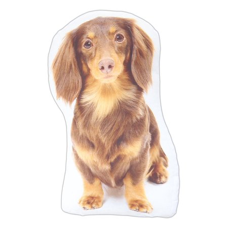 Long Haired Dachshund Wiener Dog Breed Pillow 14 X 8 By K K