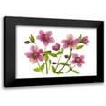 thumbnail image 1 of Parker, Jacky 18x13 Black Modern Framed Museum Art Print Titled - Helleborus x hybridus Tutu, 1 of 5
