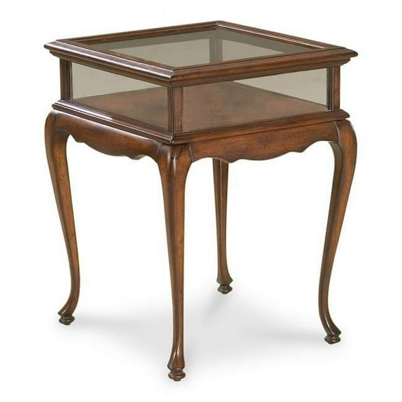 HomeRoots 488940 24.5 x 18 x 20 in. Dark Brown Glass Rectangular End Table
