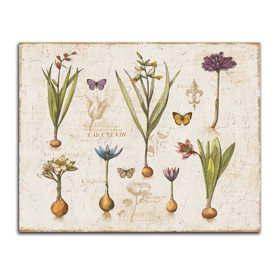 Gango Home Decor Vintage Histoire Naturelle V v2 by Pela (Printed on Paper); One 20x16in Fine Art Paper Giclee Print