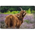 thumbnail image 4 of Dreamtimes Highlande Cow Cattle Meadow Non-Slip Area Rug Funny Animal Floor Carpet Comfort Floor Mats Decor for Indoor Front Porch,Living Room, Bedroom,Kitchen, 36"x24", 4 of 5