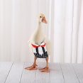 thumbnail image 4 of 3 uds. Pañales para pollos y mascotas, pañales para patitos, ropa de ganso reutilizable, ropa para mascotas con pajarita, 4 of 5