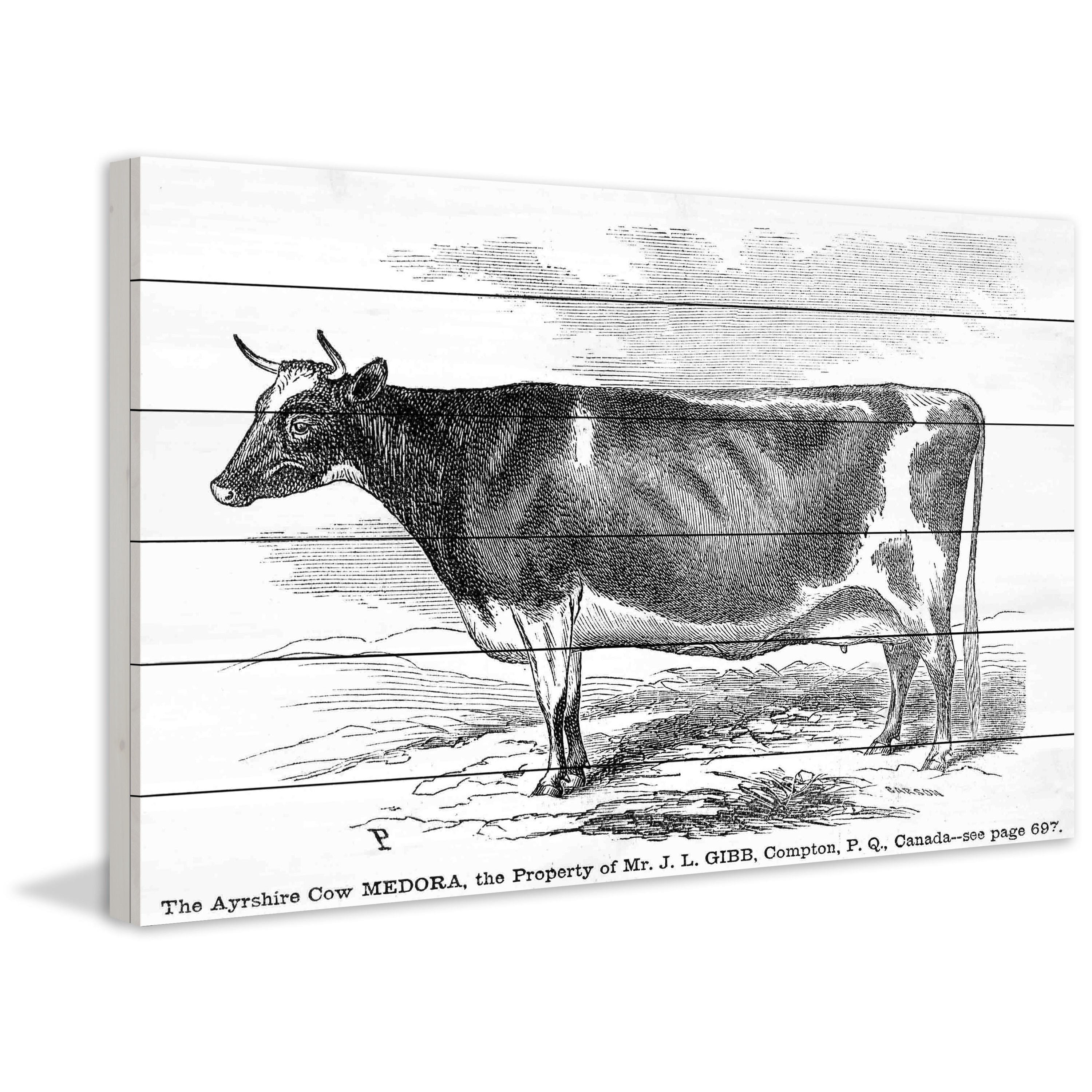 Marmont Hill "Ayrshire Cow" Painting Print on White Wood