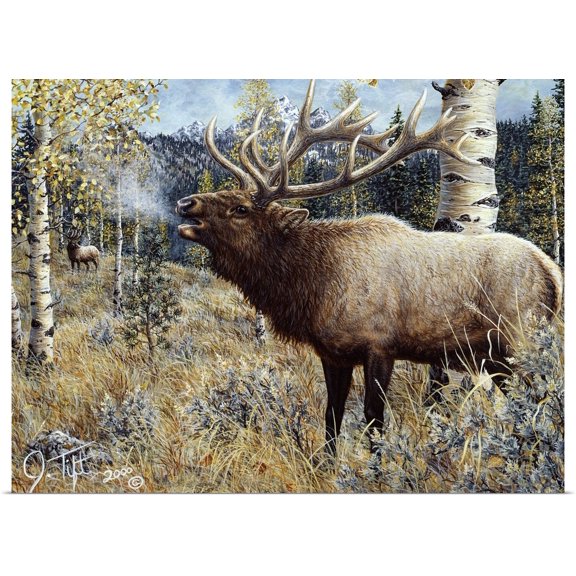 Great BIG Canvas | Rolled Jeff Tift Poster Print entitled Wapiti