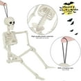 Large Poseable Full Life Size Human Skeleton Prop Halloween Home Party