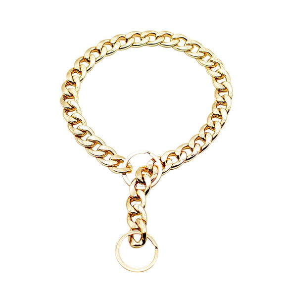 Pet Collars Dog Accessories Gold Plated Metal Necklace for Small and Medium Dogs Punk Style Chain Collar Wearable Fashion Design