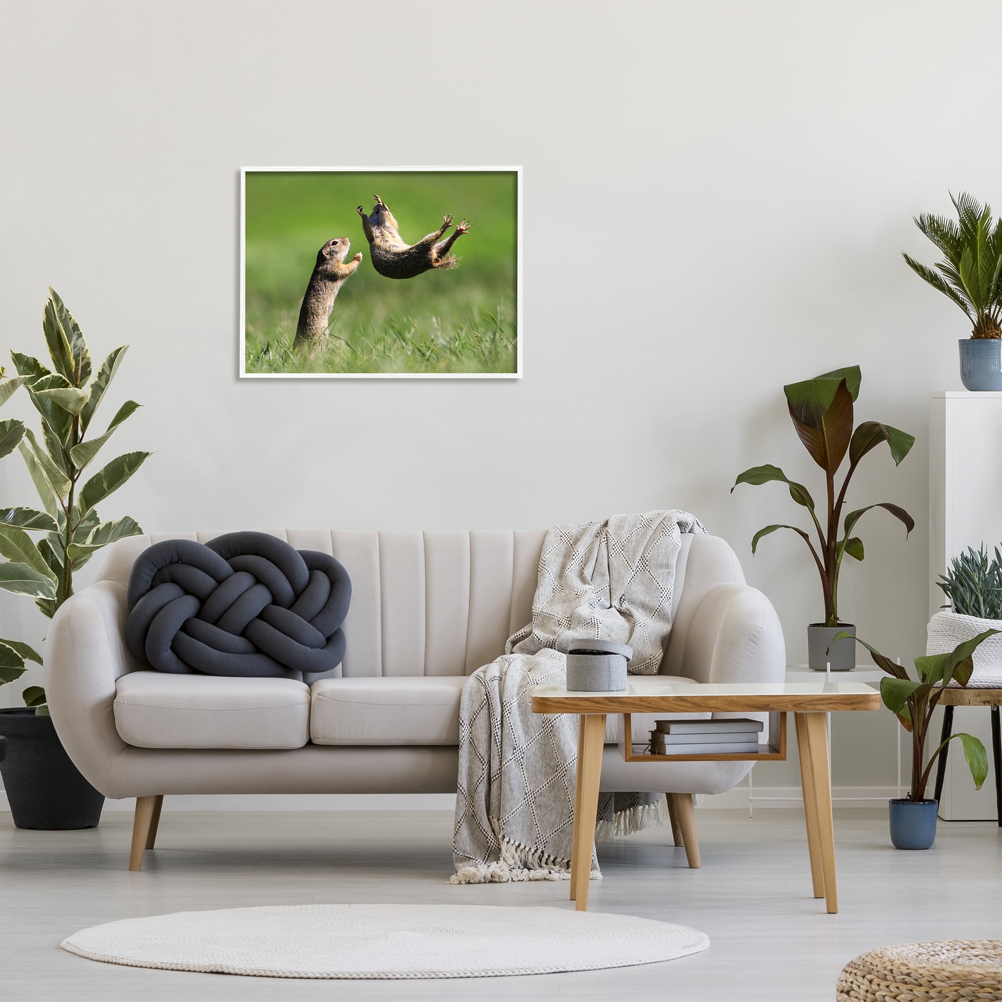 Stupell Industries Prairie Dogs Photography Animals & Insects Photography White Framed Art Print Wall Art, 30 x 24