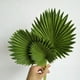 thumbnail image 5 of 3 Piezas Hojas de Palma Artificiales Manojo de Plantas Falsas de PláStico Verde Hojas de SimulacióN Arreglo de Flores DecoracióN del Hogar, 5 of 8