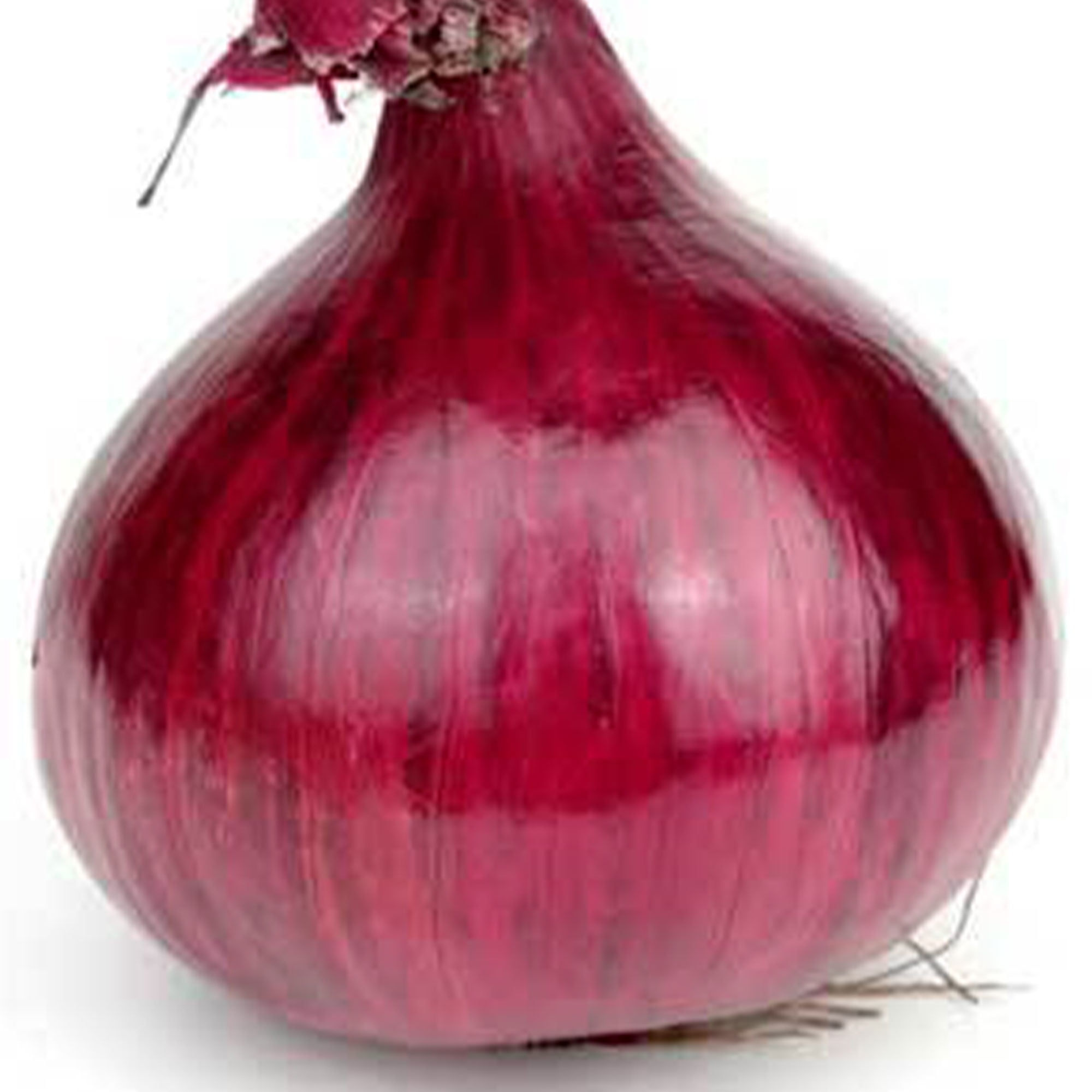 Onion Seed Heirloom Short Day Organic NONGMO Burgandy Red Onion 100 Seeds 