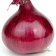Red Grano Onion Seed - 1 g ~300 Seeds - Heirloom, Open Pollinated, Non-GMO, Farm & Vegetable Gardening Seeds
