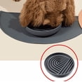 thumbnail image 4 of Armastuse Dog Slow Feeder Bowl, Silicone Anti-Choking Cat Bowl - Slows Eating Speed for Pets, Promotes Digestion, Grey, 4 of 5
