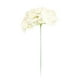 thumbnail image 2 of Flores artificiales de hortensia falsa, flores de seda, cabecera, decoración para bodas, fiestas en el hogar, flores, 2 of 2