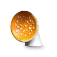 thumbnail image 3 of Estante colgante de montaje en pared, soporte de almacenamiento de resina en forma de hongo, soporte para llaves artesanales, accesorios para sala de estar, dormitorio, pequeño Inevent HA059237-01, 3 of 7