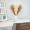 thumbnail image 5 of 6PCS Faux Pampas Grass 17"/43cm Artificial Pompous Grass Fake Pompass Branches Vase Filler Flower Arrangement for Home,Living Room, Kitchen, Wedding ,Boho Decor (Mix), 5 of 15