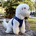 thumbnail image 5 of MesaSe Pet Chest Harness Reflective And Breathable Dog Leash Easy Control For Small Dog XS S M L XL, 5 of 5