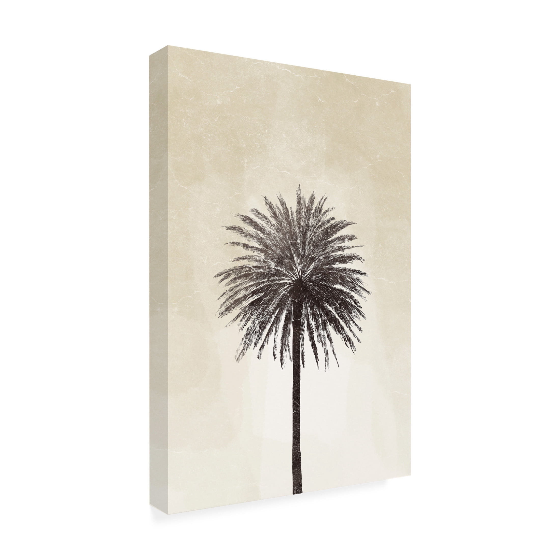 Canvas Wall Art - Yuyu Pont 'Palmera I' Wall Art for Living Room, Bedroom, or Office Décor by Trademark Fine Art - 16 x 24 Inches