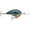 Live Pumpkinseed, variant on Rapala RDT08DEL DT Series Crankbait DT8 Delta 2" 3/8oz Fishing Lure