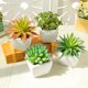 thumbnail image 1 of Gwong Decoración hogareña Flor artificial Planta suculenta Potería Pot Bonsai Inicio Balcón Decoración de escritorio Gwong 21037992, 1 of 7