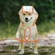 thumbnail image 4 of Chubasquero para perros con capucha, Poncho, chubasquero transparente para perros pequeños, impermeable, cachorros, gatos, mascotas, 150, 4 of 7