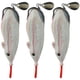 thumbnail image 3 of Cebo De Señuelo Suave, Aparejos De Pesca Cebo De Señuelo Artificial Resistente Al Desgaste Portátil Para Pesca Al Aire Libre ANGGREK Otros Deportes, 3 of 8