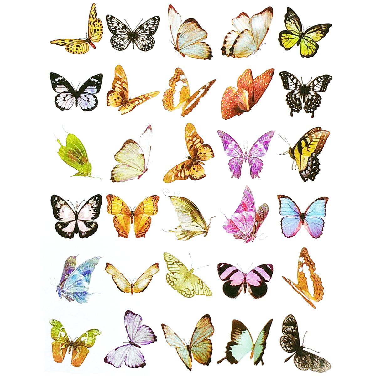 Wrapables Decorative Scrapbooking Washi Stickers, DIY Crafts for Stationery,  Diary, Card Making (60 pcs), Butterflies