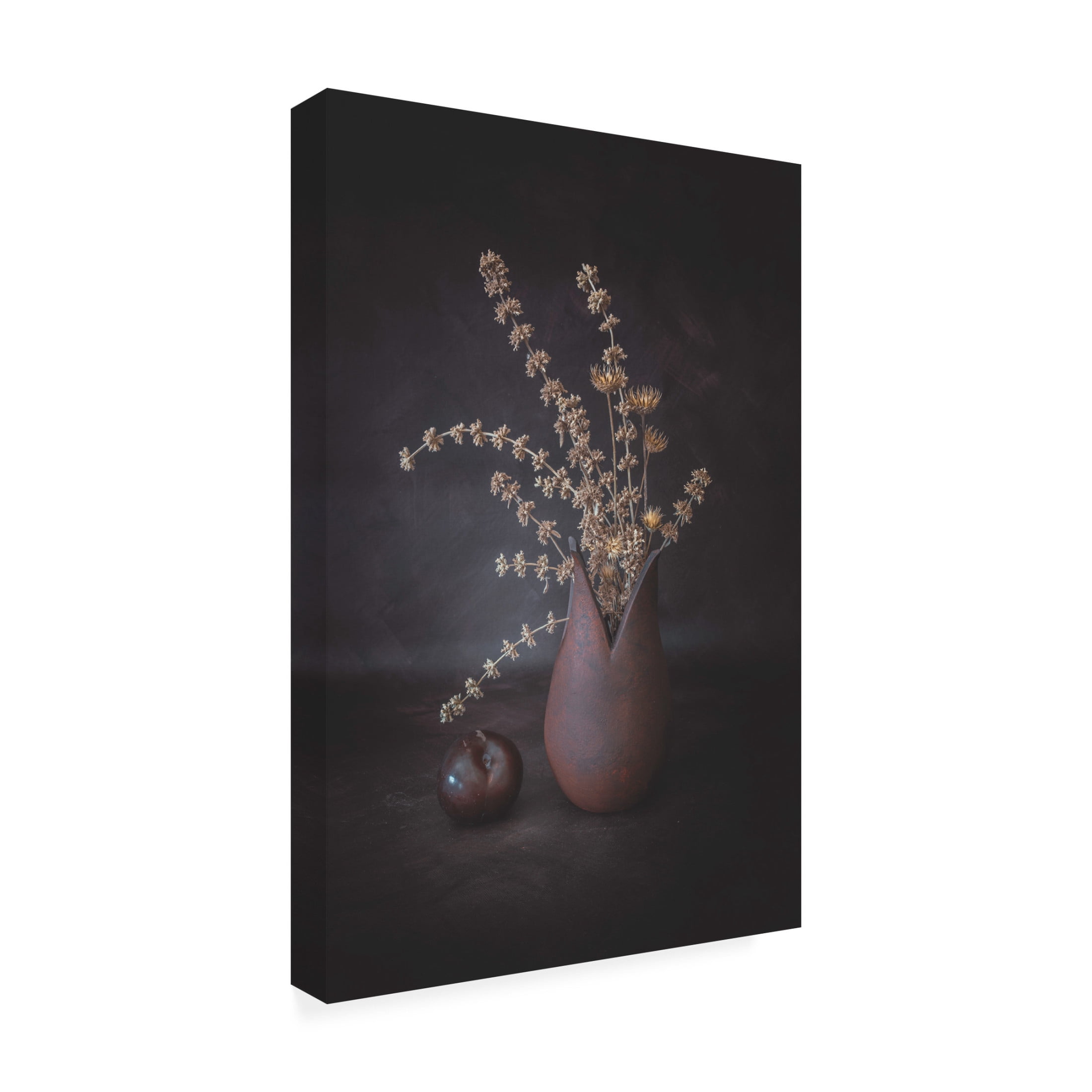 Canvas Wall Art - Cicek Kiral 'The Plum' Wall Art for Living Room, Bedroom, or Office Décor by Trademark Fine Art - 12 x 19 Inches
