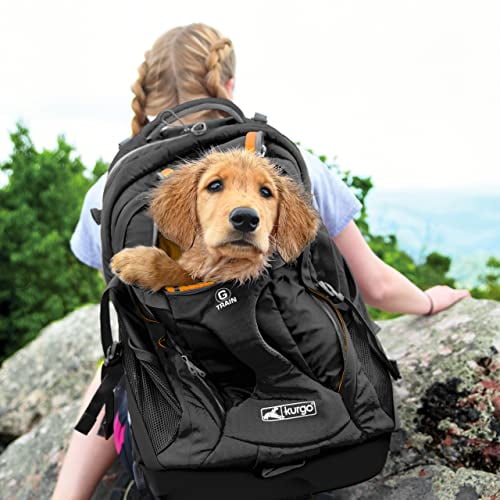 Kurgo 2024 pet carrier