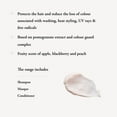 thumbnail image 4 of Maria Nila Luminous Color Hair Lotion, 6.8 Fl Oz / 200 ml, Reduces Color Loss from Washing, Pomegranate Counteracts Dehydration, 100% Vegan & Sulfate/Paraben free, 4 of 4