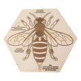 thumbnail image 1 of Rompecabezas de madera 3D para niños YONGSHENG Animales 27x25 cm, 1 of 5