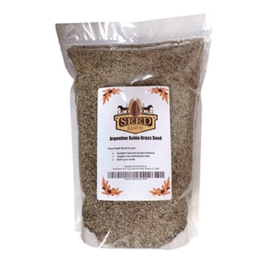 Pensacola Bahia Grass Seed (Coated) - 50 Lbs. - Walmart.com