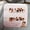 KMY364-B5 Starlight White French [Cardboard Jelly Glue], variant on White edge high-end cat's eye handmade nail art star picture nail patch 10 pieces of coded short wearable nails