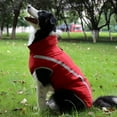 thumbnail image 4 of Labymos Reflective Waterproof Windproof Dog Coat, Autumn and Winter Thickened Warm Polyester Dog Jacket, 4 of 8