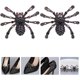 thumbnail image 5 of Hebillas para Colgar KAIYANG 2 Piezas en Forma de Araña para Zapatos de Fiesta de Halloween, 5 of 5
