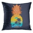 thumbnail image 1 of EREHome Blue Beach Surf Pineapple Graphics Vintage Pillow Case 18x18 Inches Pillowcase, 1 of 1
