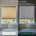 thumbnail image 4 of Chicology Light Filtering Cellular Shade, Morning Croissant, 58.75"W X 64"H, 4 of 9