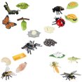 thumbnail image 1 of Figuras de ciclo de vida de mariposa, araña, abeja, libélula, figuras de insectos de plástico, proyecto escolar para Niños, 1 of 5