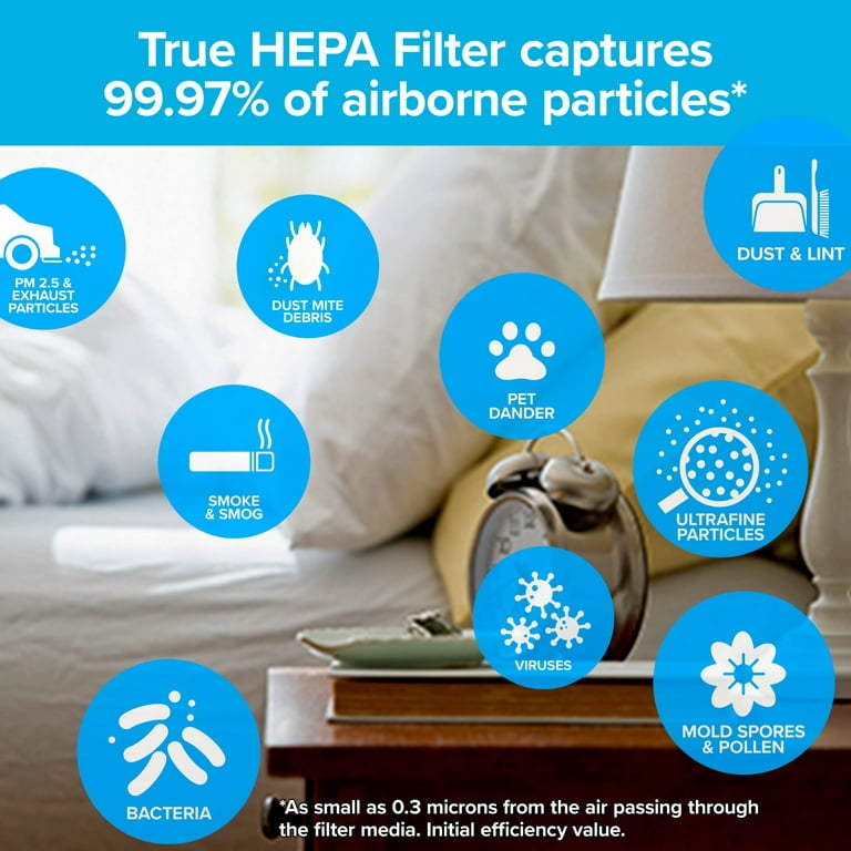 Nispira HEPA Replacement Filter Compatible with Filtrete F1 Air Purifier  C01 T02 FAP-C01-F1, FAP-T02-F1, FAP-C01BA-G1, FAP-T02WA-G1. Compared to  Part