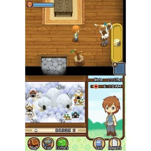 Harvest Moon The Tale Of Two Towns Nintendo Ds Walmart Com