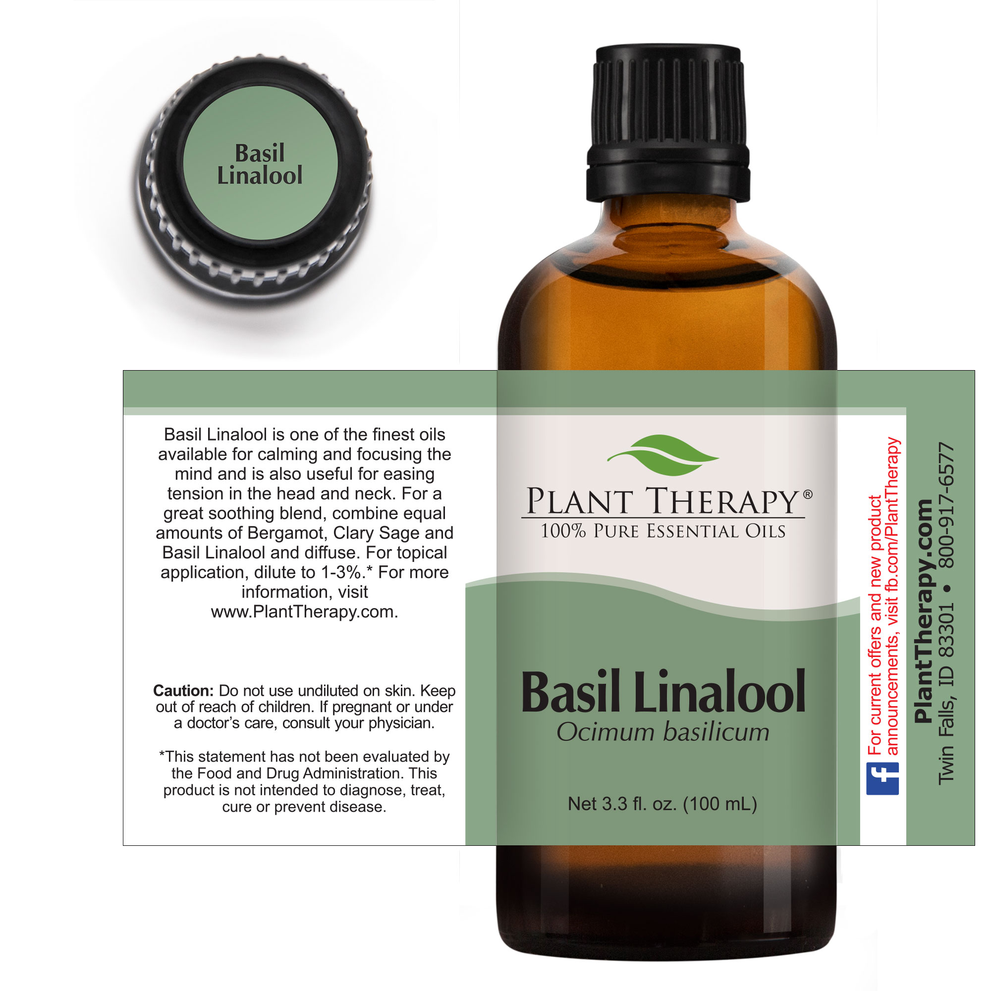 Plant Therapy Basil Linalool Essential Oil 100 mL (3.3 oz) 100% Pure, Undiluted