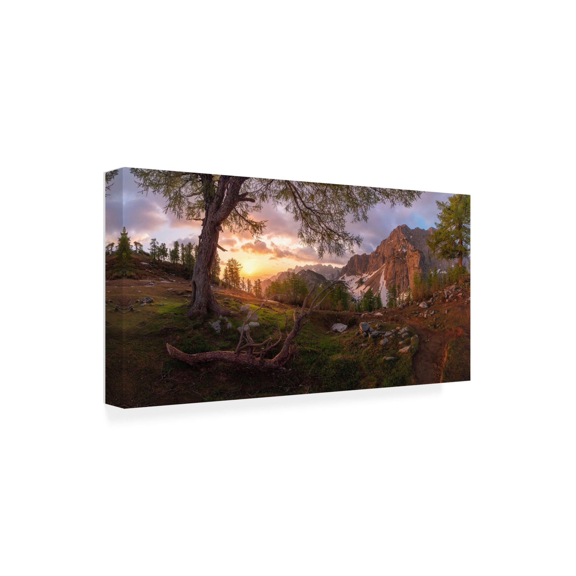 Canvas Wall Art - Ales Krivec 'Magical Morning' Wall Art for Living Room, Bedroom, or Office D?cor by Trademark Fine Art - 19 x 10 Inches