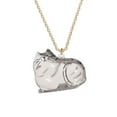 thumbnail image 1 of CTDWNT Collier Souvenir en Fourrure de Chat, Pendentif Capsule Commémoratif de Poils d'Animaux avec Rangement Visible, Cadeau de Collection Unique pour Amateur de Chats, PVC et Alliage, Chaîne de 17,55 Pouces, 1 of 8