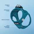 thumbnail image 3 of Malla Harness Best Pet Supplies para todo tipo de clima para perros y gatos pequeños y medianos, color turquesa XXS, 3 of 7