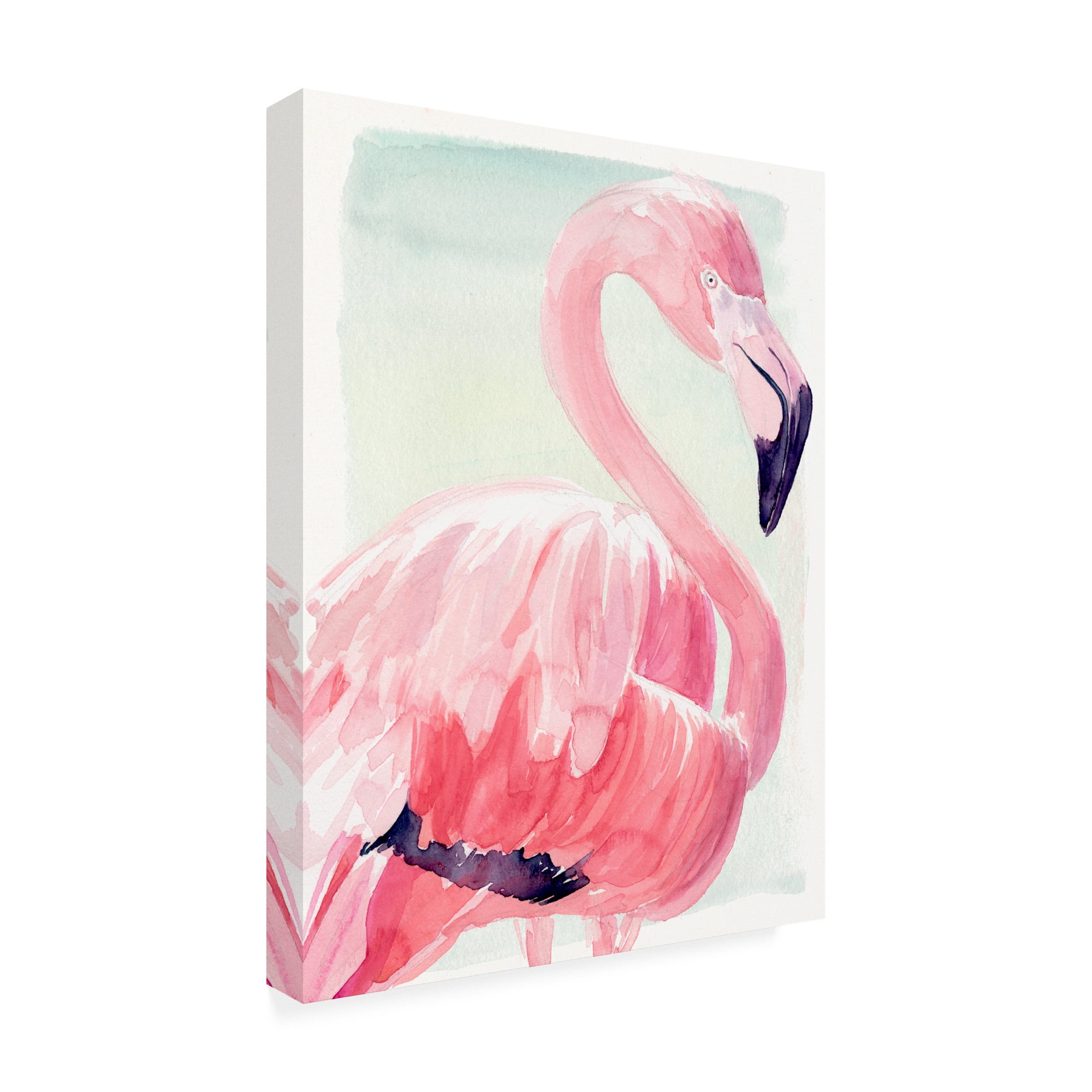 Trademark Fine Art 'Pastel Flamingo II' Canvas Art by Jennifer Paxton Parker