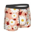 thumbnail image 3 of Junzan Daisy And Ladybug Mens Underwear Boxer Briefs For Men’s - Small, 3 of 9