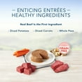 thumbnail image 4 of Blue Buffalo Delights Small Breed Filet Mignon & Porterhouse Pate Wet Dog Food Variety Pack for Adult Dogs, Grain-Free, 3.5 oz. Cups (12 Pack), 4 of 10
